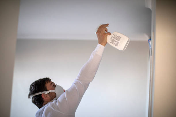 Best Mold Removal Near Me  in Paramount, CA
